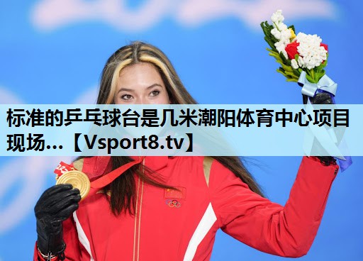 标准的乒乓球台是几米潮阳体育中心项目现场…