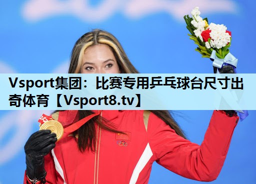 Vsport集团：比赛专用乒乓球台尺寸出奇体育