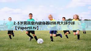 2-5岁男孩室内健身器材体育大球小球