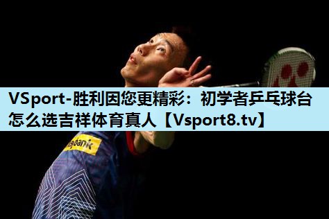 VSport-胜利因您更精彩：初学者乒乓球台怎么选吉祥体育真人