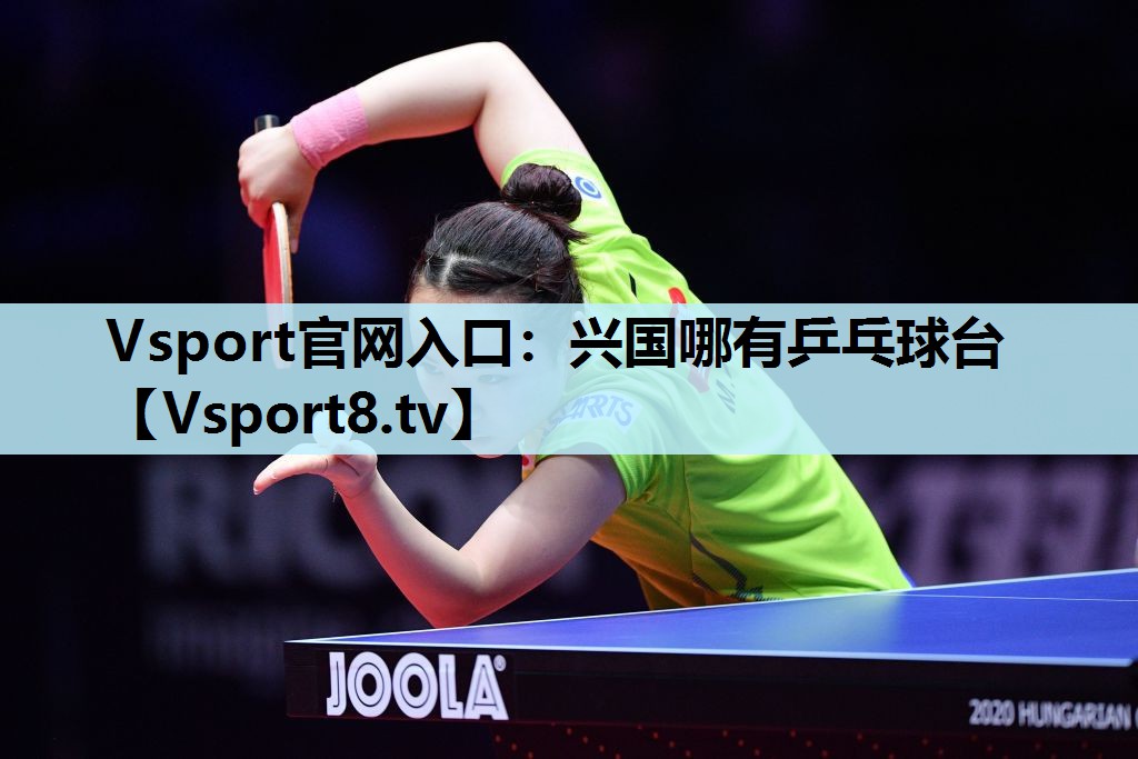 Vsport官网入口：兴国哪有乒乓球台
