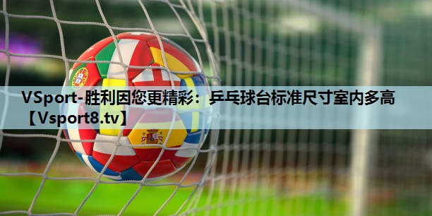 VSport-胜利因您更精彩：乒乓球台标准尺寸室内多高