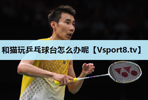和猫玩乒乓球台怎么办呢 和猫玩乒乓球台怎么办呢