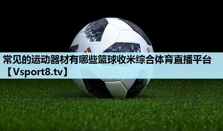 常见的运动器材有哪些篮球收米综合体育直播平台
