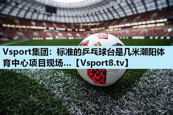 Vsport集团：标准的乒乓球台是几米潮阳体育中心项目现场…