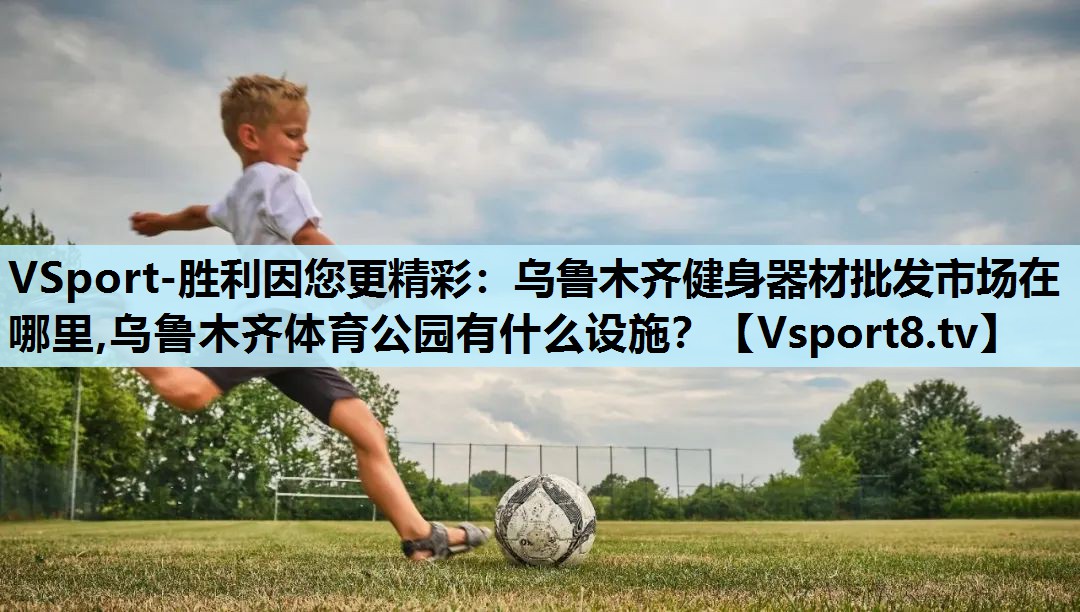VSport-胜利因您更精彩：乌鲁木齐健身器材批发市场在哪里,乌鲁木齐体育公园有什么设施？